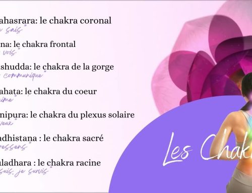 Chakras: Les Sept Etoiles